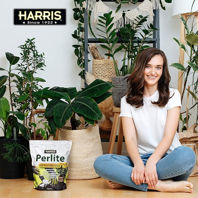 Harris Premium Horticultural Perlite for Plants and Gardening, 8qt to Promote Root Growth and Soil Health