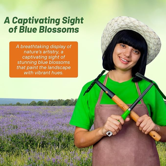 Outsidepride Blue Sage Seeds - 1/2 Lb. Perennial, Drought-Tolerant & Deer-Resistant Wildflower Seeds w/Fragrant Blooms for Pollinator Attractant for Butterfly & Hummingbird Gardens & Landscaping