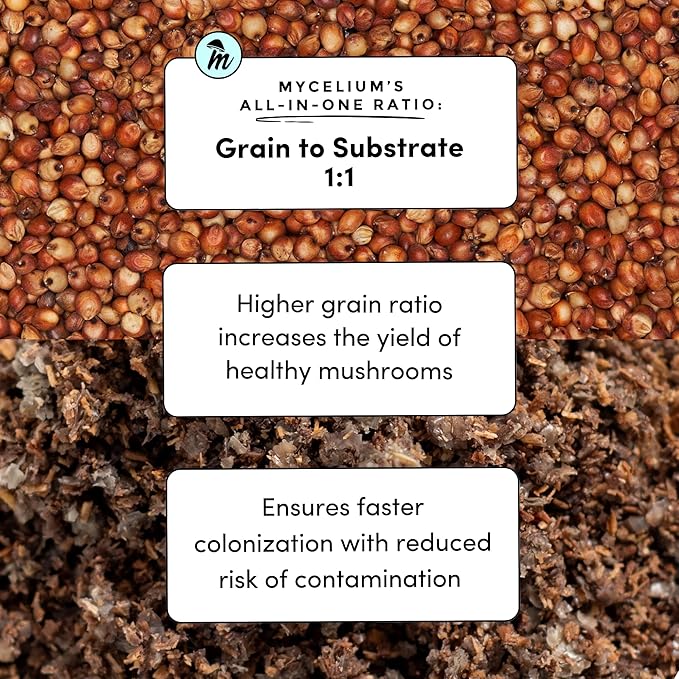 Mycelium Gourmet Mushroom All-in-One Bag - Premium Organic 10LB Blend of Alder & Soy Hull Substrate with Sterilized Milo Grain - Perfect for Variety of Wood-Loving Mushrooms - Home Growing Made Easy