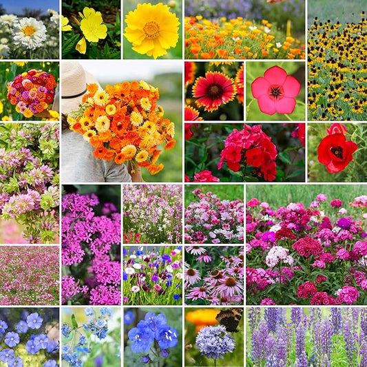 Eden Brothers Heirloom Flower Mixed Seeds for Planting, 5 lb, 2,400,000+ Seeds with Zinnia, Toadflax, Evening Primrose | Attracts Pollinators, Plant in Spring or Fall, Zones 3, 4, 5, 6, 7, 8, 9, 10
