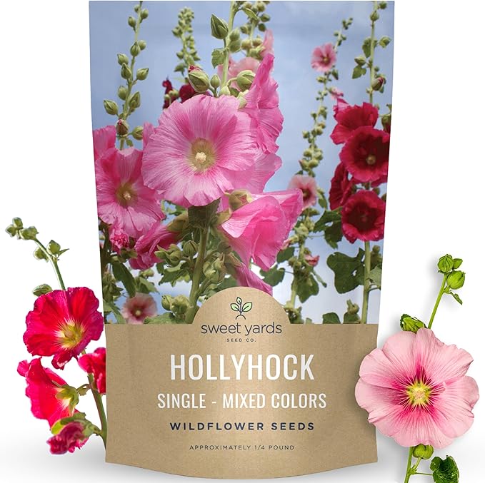 Hollyhock Single - Mixed Colors - Bulk 1/4 Pound Pouch - 10,000 Flower Seeds for Planting - Alcea rosea