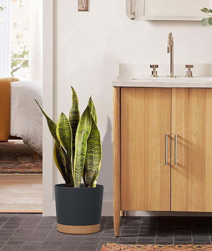 kubvici Plant Pots for Indoor Plants, 2 Pack 8 Inch Plastic Flower Pot Planters with Drainage Saucer for Indoor Outdoor Garden Home (8” Black)