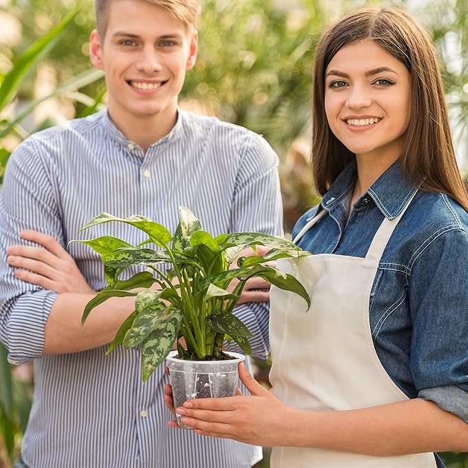 12pcs 3.9/4.7/5.9 Inch Clear Nursery Pots with Saucer, Transparent Plastic Plant Pots with Drainage Hole for House Plants, Flower, Succulent and Outdoor Clearance (20pcs Plant Labels)