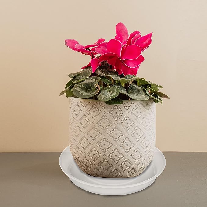 2 Pack of 14 inch Plant Saucer (12.2 Inch Base), 1.7" Depth Tray, Large Deep Garden Plastic Flower Planter Plant Trays for Indoors Outdoor Bath Bath (14", Clear)