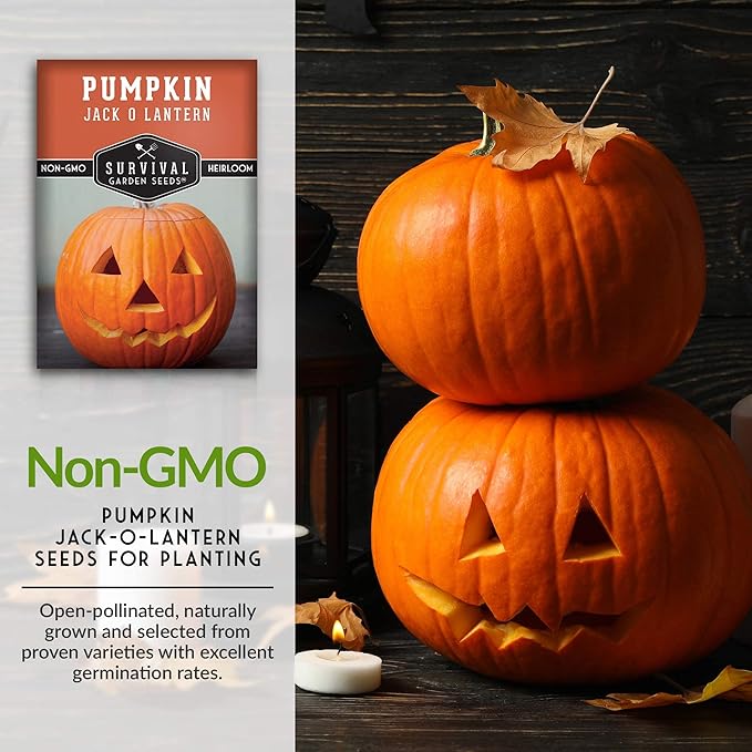 Survival Garden Seeds - Jack-O-Lantern Pumpkin Seed for Planting - 5 Packs with Instructions to Plant and Grow Orange Carving Pumpkins in Your Home Vegetable Garden - Non-GMO Heirloom Variety