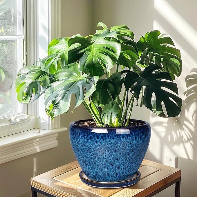 10 Inch Ceramic Planter Pot, Ceramic Plant Pot for Indoor Outdoor Plants, Large Flower Pot with Drainage Hole and Saucer, Blue