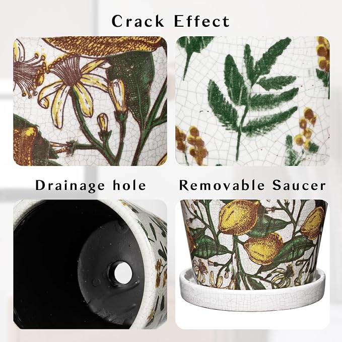5.5 Inch Decorative Plant Pots, Round Ceramic Planters for Indoor Plants Pots with Drainage Hole Saucers, Lemon Green Leaves Ceramic Flower Pots Retro Planter Pot for Succulents Cactus Outdoor Garden
