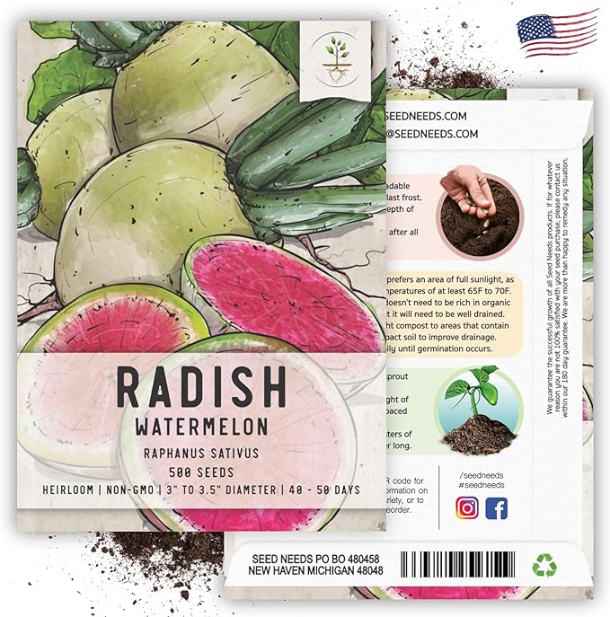 Seed Needs Watermelon Radish Seeds for Planting - Non-GMO, Heirloom & Untreated - Organically Grow a Home Grown Vegetable Garden - Cool Weather Crops (5 Packs)