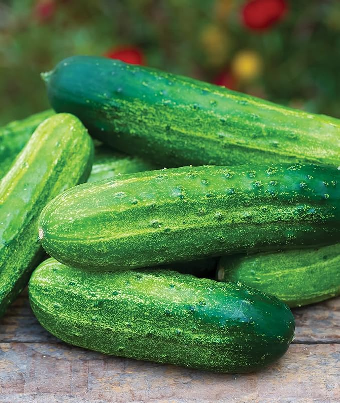 Burpee 'Pick-A-Bushel' Pickling Cucumber Seeds, 30 Non-GMO seeds