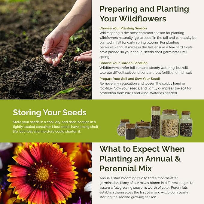 Eden Brothers Alaska Wildflower Mixed Seeds for Planting, 1 lb, 480,000+ Seeds with Yarrow, Foxglove, Cornflower | Attracts Pollinators, Plant in Spring or Fall, Zones