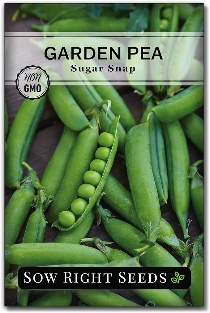 Sow Right Seeds - Sugar Snap Pea Seeds for Planting - Non-GMO Heirloom Packet with Instructions to Plant a Home Vegetable Garden - Grow Tons of Delicious Pods - Cool Season Crop, Super Productive (1)