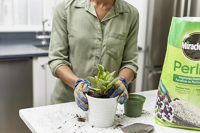 Miracle-Gro Perlite, Enriched with Plant Food, Improves Drainage and Aeration in Potting Mixes, For Container Plants, 8 qt., 3-Pack
