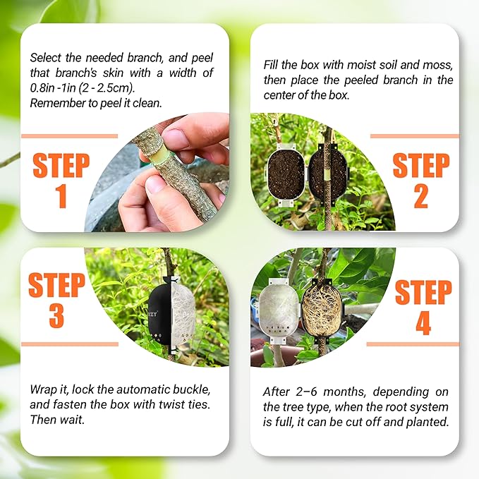 [Upgraded] 9Pcs Tree Root Growing Box with Drain Holes, Half Transparent Plant Rooting Propagation Ball & Metal Core Twist Ties, for Fast Propagation Plants (Size M)