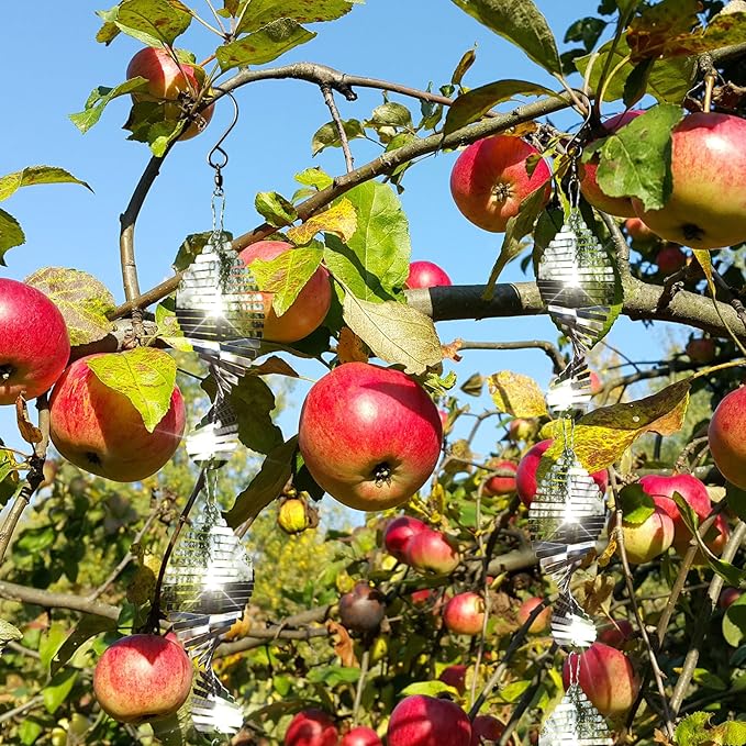 12 PCS Stainless Steel Bird deterrents for Outside,3D Bird Scarer Discs Set Pigeon Deterrent,Bird reflectors to Keep Birds Away Woodpecker Deterrent for House,Crow Deterrent