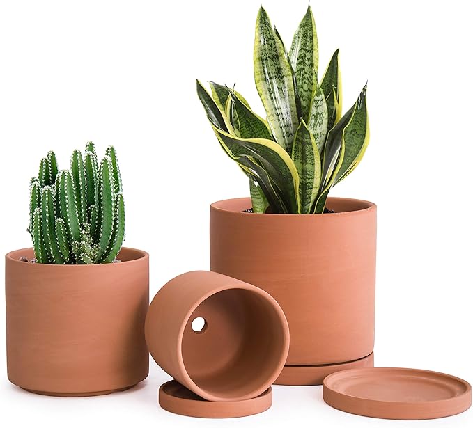 D'vine Dev Terracotta Pots for Plants, 4.2 Inch 5.3 Inch 6.5 Inch, Succulent Planter Pot with Drainage and Saucer, 40-T-A-0