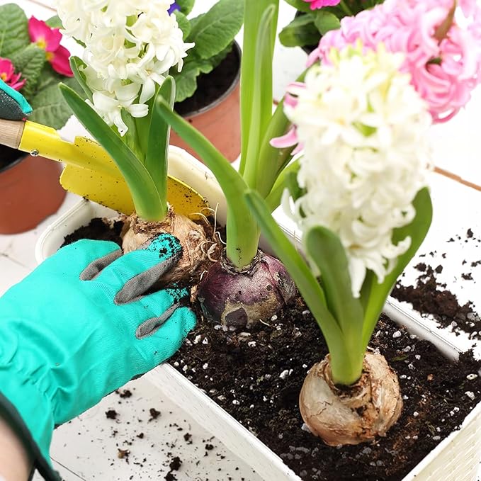 Halatool 3 QT Organic Aloe Plant Soil Potting Mix Garden Top Succulent Soil for Indoor & Outdoor Plants Bonsai Aloe Vera Soil for Houseplants Flowers Vegetables & Herbs