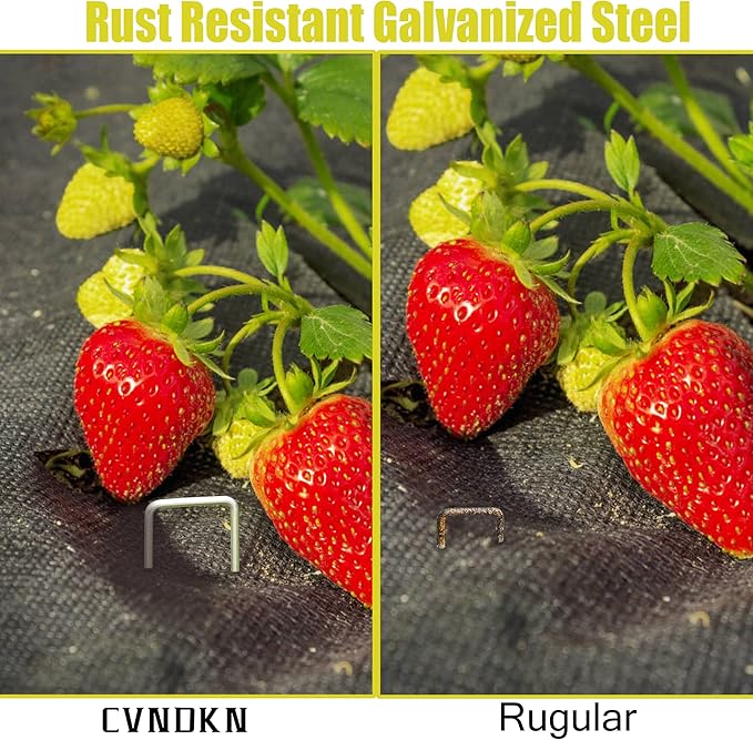 100 Pcs Garden Staples 6 Inch U-Shaped Landscape Staples,11 Gauge Heavy Galvanized Garden Staples are Suitable for Outdoor Fabric Irrigation Hoses, Artificial Turf Nails, Fixed Fences and Tents.