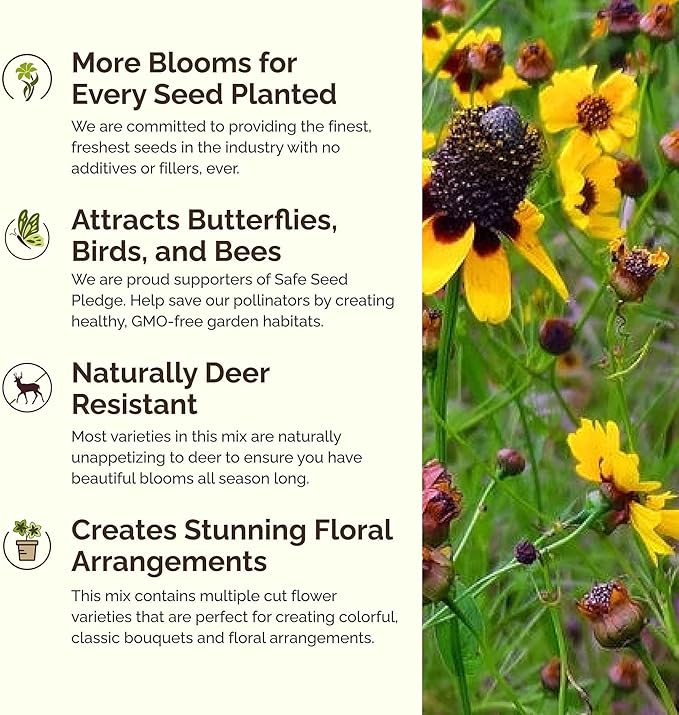 Eden Brothers Conehead Flower Mixed Seeds for Planting, 5 lb, 2,400,000+ Seeds with Prairie Coneflower, Mexican Hat | Attracts Pollinators, Plant in Spring or Fall, Zones 3, 4, 5, 6, 7, 8, 9, 10