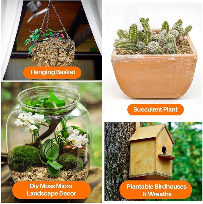 Sukh 4oz Sphagnum Moss for Plants - Sphagnum Peat Moss Natural Dried Long Fibered for Orchids Succulent Carnivorous Potted Plant Reptiles Medium Sarracenia DIY Terrarium Decorations