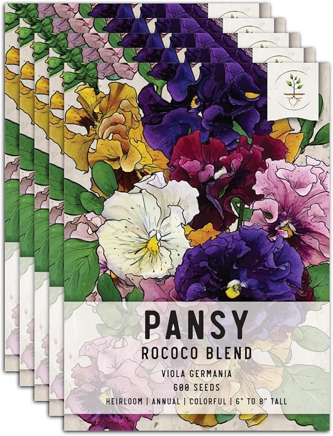 Seed Needs, Rococo Pansy Seeds - 600 Heirloom Seeds for Planting Viola Germania - Colorful Blooms for an Outdoor Flower Garden, Attracts Pollinators (5 Packs)