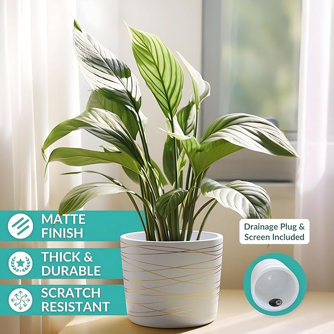 Willowy 9 Inch Ceramic Plant Pot - Matte White with Gold Stripes - Drainage Plug Included