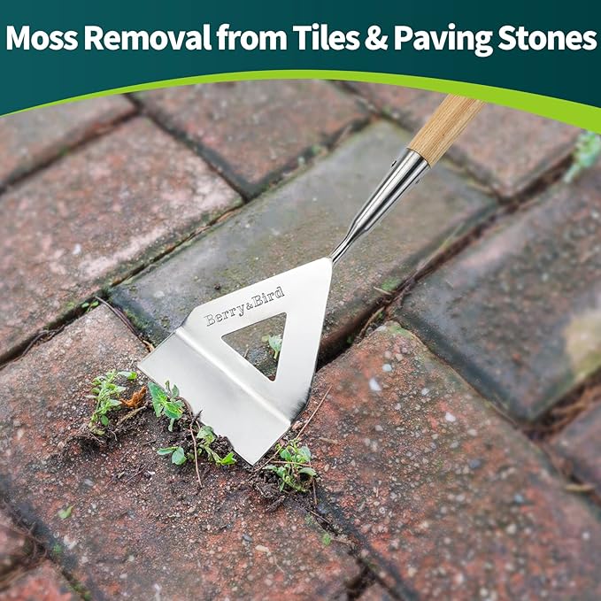 Berry&Bird Dutch Hoe, Stainless Steel Head with Wooden Handle Weeder, Women Heavy Duty Garden Tool for Weeding and Cultivating