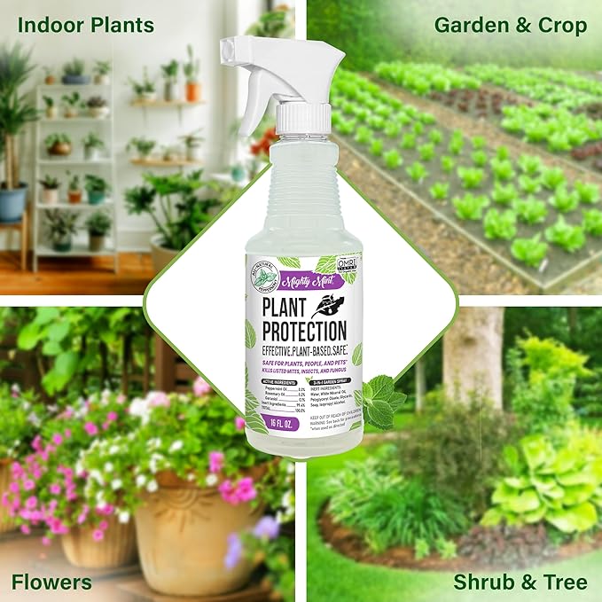Mighty Mint Peppermint Plant Protection Spray for Insects, Gnats, Fungus, Mites, and Disease, 16 oz