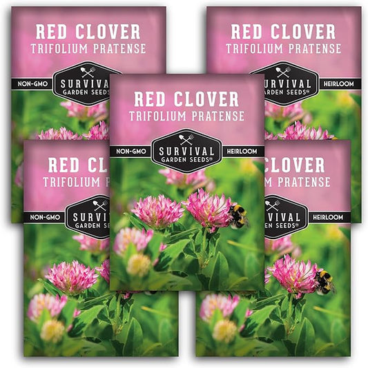Survival Garden Seeds - Red Clover Seed for Planting - 5 Packets with Instructions to Plant & Grow a Medicinal Herb & Nitrogen Fixing Ground Cover in Your Home Garden - Non-GMO Heirloom Variety