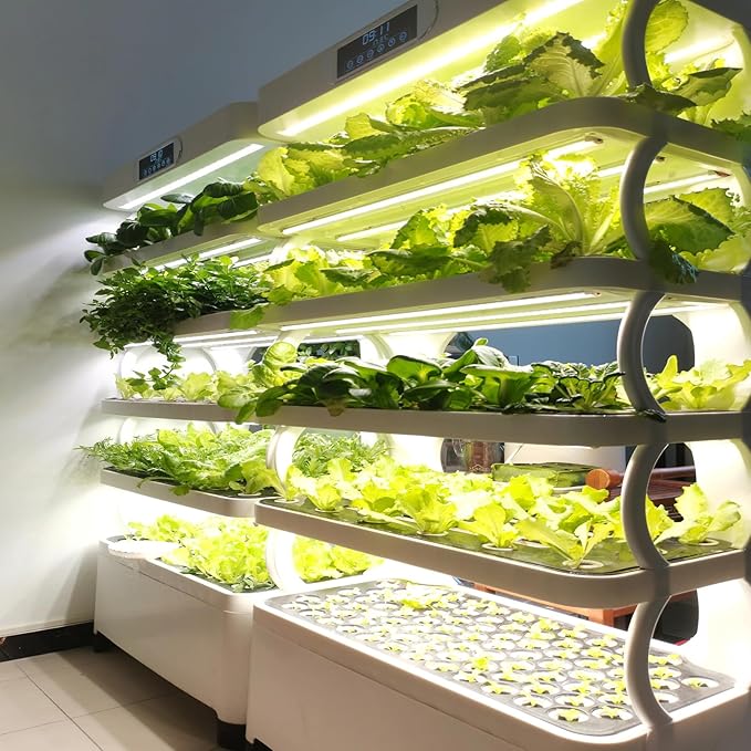 21 Varieties Vegetable Seeds for Planting, 7,000+ Heirloom Seeds Gift Pack, Non-GMO Veggies Seed Garden Kit for Indoor Outdoor Growing, Home Fresh Food Vegetable Supply