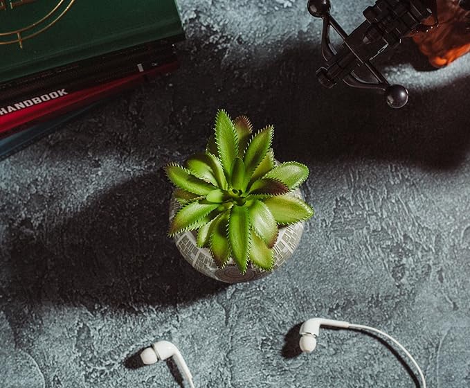 Toynk Star Wars Death Star 3-Inch Ceramic Planter with Artificial Succulent | Cute Small Flower Pot, Faux Indoor Plants