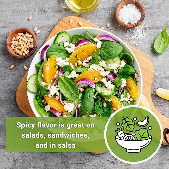 Sow Right Seeds - Red Creole Onion Seeds for Planting - Non-GMO Heirloom Packet with Instructions to Plant a Home Vegetable Garden - Grow Classic Purple Onions, Essential for Cooking (1)