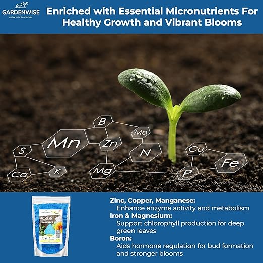 20-20-20 Water-Soluble Fertilizer – Powder for Liquid Plant Food for Indoor & Outdoor Plants, Orchids, Vegetables, Lawns, Flowers – 20 20 20 Fertilizer 5 Quarts (10 lbs)