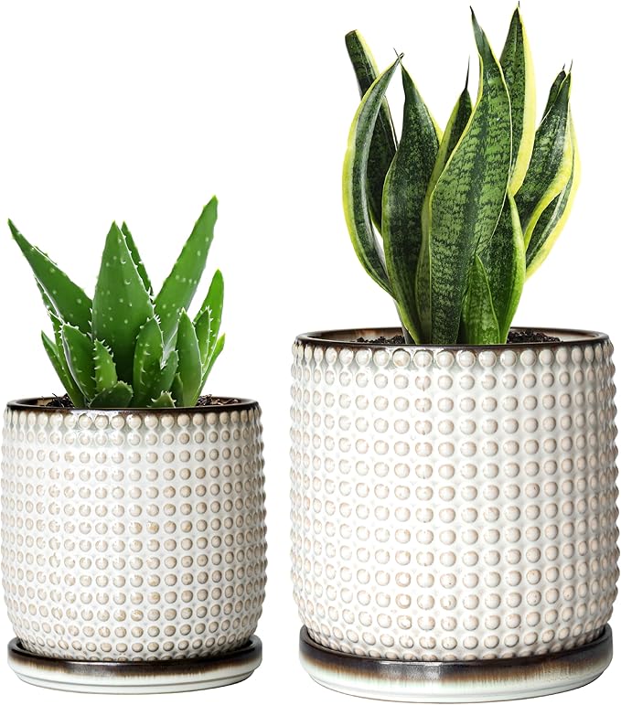 D'vine Dev 6 Inch 4 Inch Ceramic Indoor Planter Pots with Drainage Hole and Saucer, Beaded Design Flower Pots, Set of 2, Smoked White, 27-D-U-1