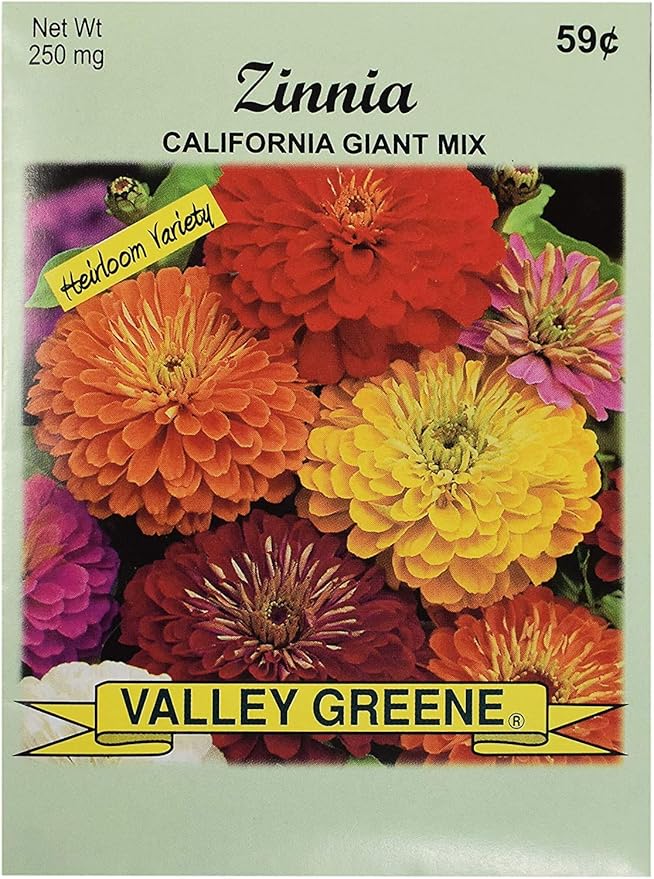 Set of Flower Seed Packets! Flower Seeds in Bulk - Great for Creating The Garden of Your Dreams! (200, Zinnia - California Mix)