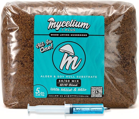 Mycelium's Purple Mukitake Gourmet Mushroom Kit | 5LBS Alder & Soy Hull Blend with Mycelium Plus Grains Combo | Sterile & Nutrient-Rich for Home Growers | Includes 20ML Liquid Culture Syringe