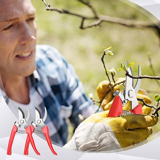 Chumia 30 Garden Flower Shears Pruning Scissors Heavy Duty Plant Scissors Trimming Garden Clippers Hand Tree Pruner for Yard Gardening Plants Hedge Flower Tree Cutting Secateurs (Orange)