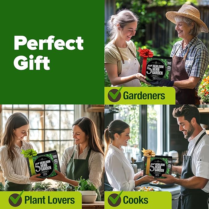 HOME GROWN Herb Gardening Starter Kit for Indoors - Unique Gift for Mom, Women, Her, Men - Complete 5 Herb Plant Grow Kit - Holiday Gift for Gardeners