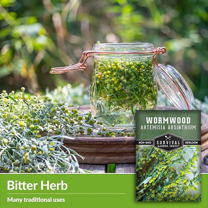 Wormwood Seeds for Planting - 1 Packet with Instructions to Plant and Grow Beneficial Medicinal Herbs in Your Home Herb Garden - Non-GMO Heirloom Variety - Survival Garden Seeds