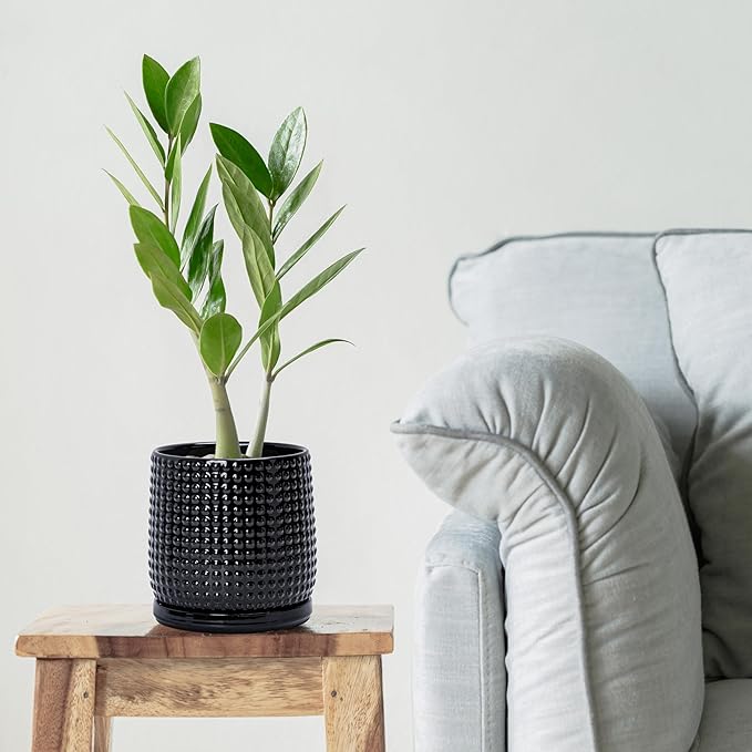 D'vine Dev 6 Inch 4 Inch Ceramic Indoor Planter Pots with Drainage Hole and Saucer, Beaded Design Flower Pots, Set of 2, Gloss Black, 27-D-U-2