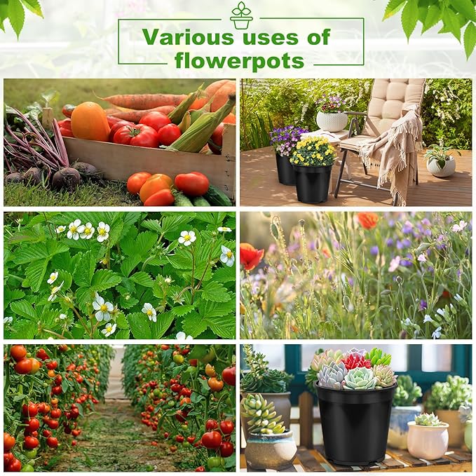 1/2/3/5/7 Gallon Pots for Plants, 3 Gallon Plastic Nursery Pot with Drainage Holes, Sturdy Plastic Plant Pots for Nursery Garden, Flowers, Succulent Outdoor Indoor (Black, 3 Gal- 6 Pack)