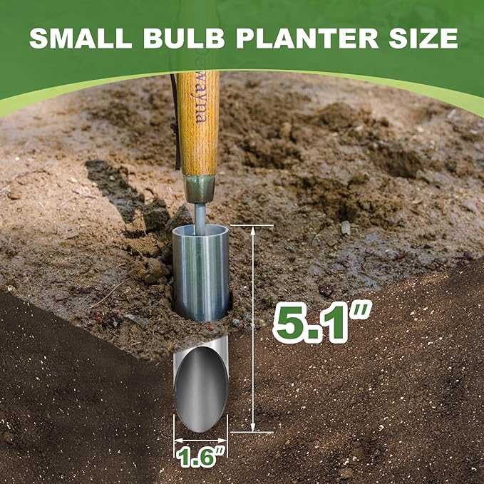 Small Bulb Planter Tool, Sharp Edge Bulb Planter for Breaking Through Soil, Heavy Duty Stainless Steel Bulb Planter Tool, Small Bulb Digger with Comfortable Grip Wood Handle for Seed Planting