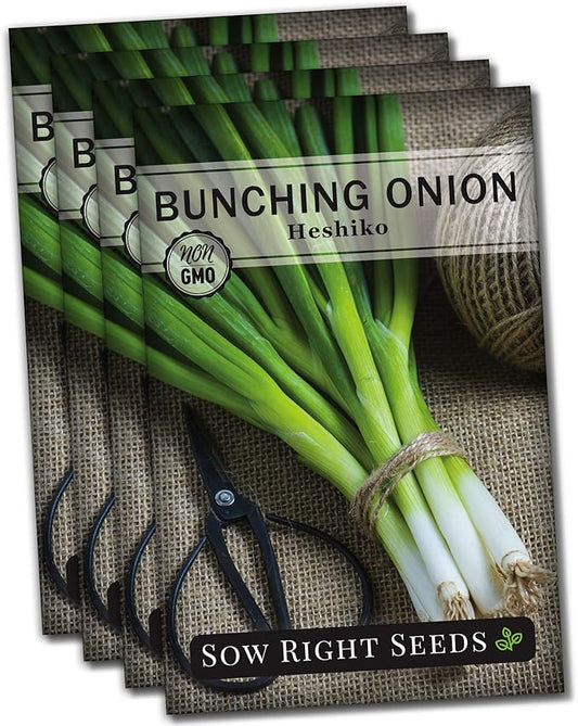 Sow Right Seeds - Heshiko Japanese Bunching Green Onion Seeds for Planting - Non-GMO Heirloom - Instructions to Plant and Grow a Kitchen Garden Indoors or Outdoors - Mild Onion Flavor for Cooking (4)