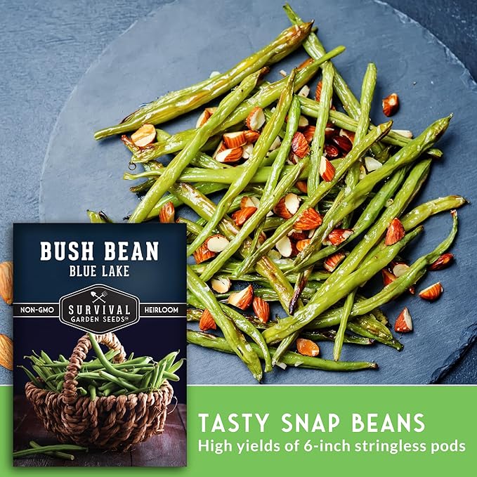 Survival Garden Seeds - Blue Lake Bush Bean Seed for Planting - 1 Packet with Instructions to Plant & Grow Green Stringless Snap Beans in Your Home Vegetable Garden - Non-GMO Heirloom Variety
