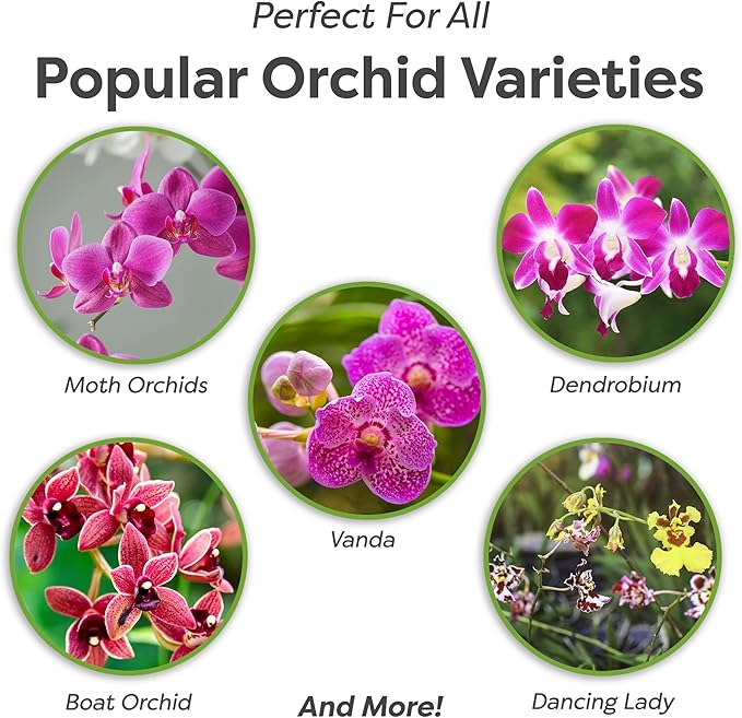 All Natural Orchid Potting Mix by Perfect Plants - 8 Quarts Special Blend for Proper Root Development on All Orchid Plant Types