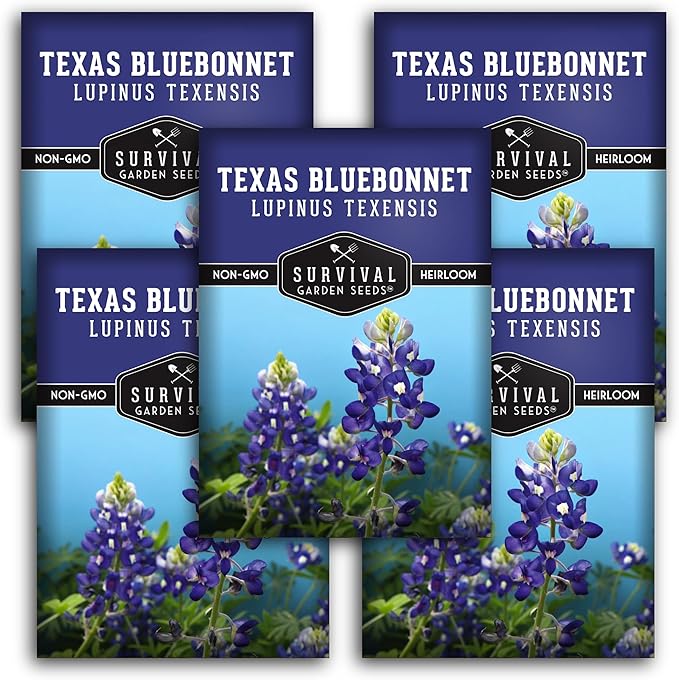 Texas Bluebonnet Seed for Planting - 5 Packets with Instructions to Plant & Grow Lupinus Texenisis in Your Home Wildflower Garden - Non-GMO Heirloom Variety- Survival Garden Seeds - Drought Resistant