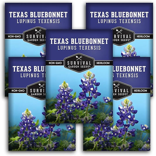 Texas Bluebonnet Seed for Planting - 5 Packets with Instructions to Plant & Grow Lupinus Texenisis in Your Home Wildflower Garden - Non-GMO Heirloom Variety- Survival Garden Seeds - Drought Resistant