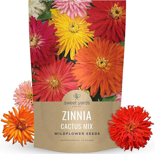 Zinnia Super Cactus Mix - Bulk 1/4 Pound Pouch - 15,000 Flower Seeds for Planting - Zinnia elegans