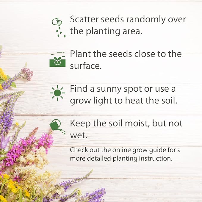 HOME GROWN 130,000+ Pure Wildflower Seeds - Premium Texas Flower Seeds [3 Oz] Perennial Garden Seeds for Birds & Butterflies - Wild Flowers Bulk Seeds Perennial: 22 Varieties Flower Seed for Planting