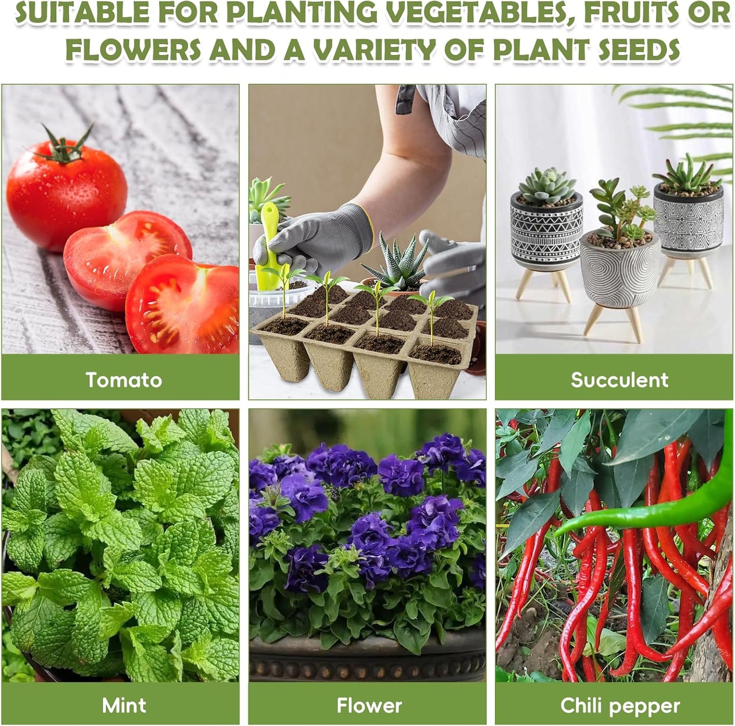 PINVNBY 432 Cells Seed Starter Tray 36 Packs Biodegradable Peat Pots for Seedlings Disposable Seedling Starter Trays with 36 Labels and 2 Transplant Tools