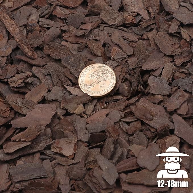 Orchid Bark for Plants, Organic Pine Bark for Proper Root Development for Phalaenopsis, Cattleyas, Dendrobiums, Oncidiums, Paphiopedilums and More (1qt, Medium(12-18mm))